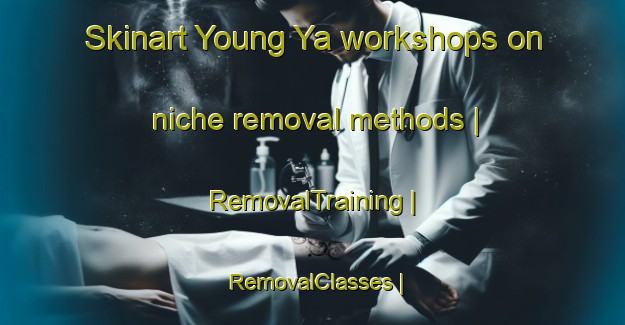 Skinart Young Ya workshops on niche removal methods | RemovalTraining | RemovalClasses | SkinartTraining-Viet Nam